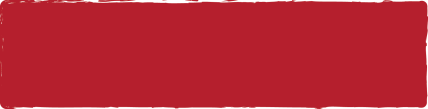 Punch product image.