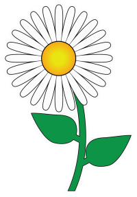 Sour Cream or Cottage Cheese product image.