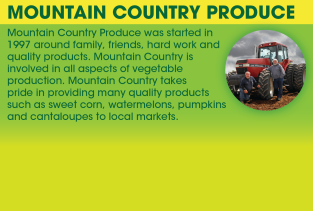 Corn on the Cob product image.