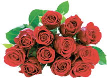 12 Stem Rose Bouquets product image.