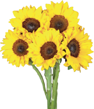 Local Grown product image.