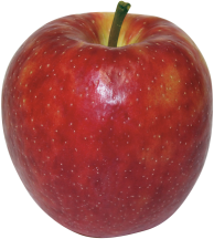 Juici or product image.