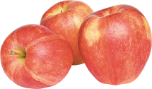 Premium product image.