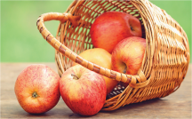 Gala Apples product image.