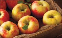 Apples product image.