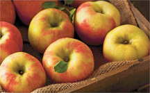 Honeycrisp Apples product image.