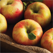 Honeycrisp product image.
