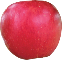 Juici or product image.