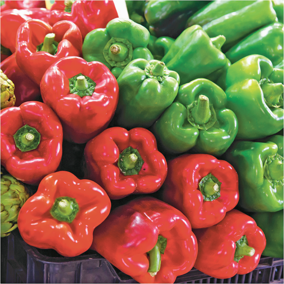 Bell product image.