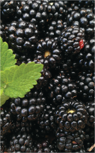 Strawberries product image.