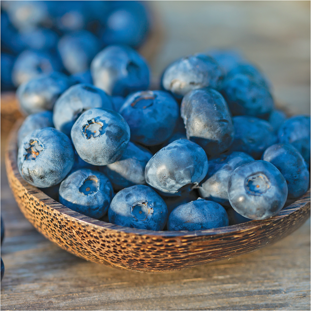 Blueberries product image.