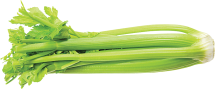 Celery product image.