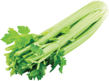 Celery product image.