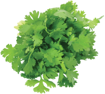 Cilantro or Cucumbers product image.