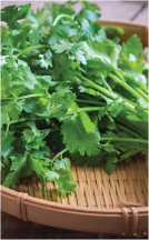 Cilantro product image.