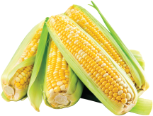 Corn product image.
