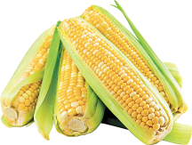 Corn on the Cob product image.