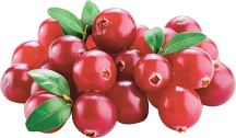 Cranberries product image.