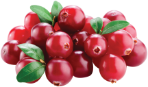 Cranberries product image.