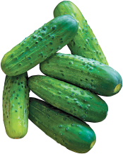 16 oz. pkg. Mini Cucumbers product image.