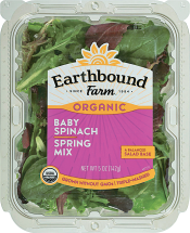 Organic Salad Mix product image.