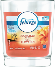Air Freshener product image.