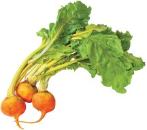 Organic Chard or Beets product image.