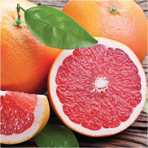 Grapefruit product image.