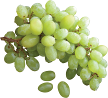 Seedless product image.