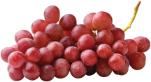 Seedless product image.