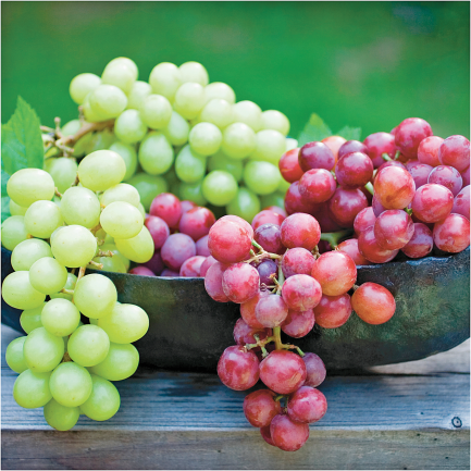 Seedless product image.