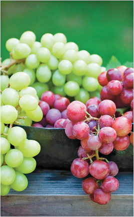 Seedless product image.