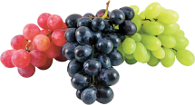 Seedless product image.