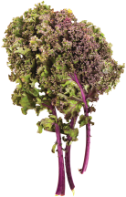 Kale product image.