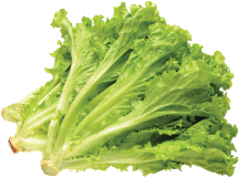 Lettuce product image.