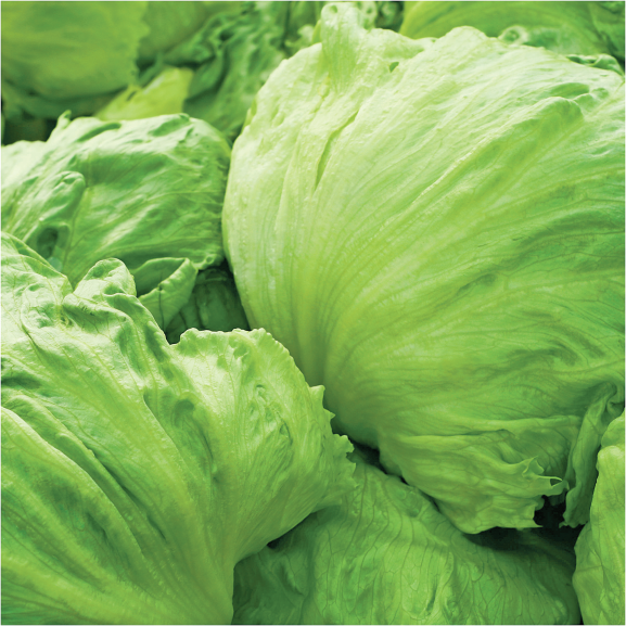 Salads product image.