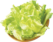 Iceberg Lettuce product image.