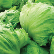 Salad Kits product image.