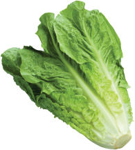 Romaine product image.