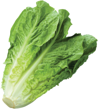 Lettuce product image.