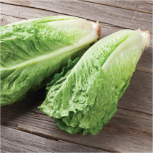 Romaine product image.