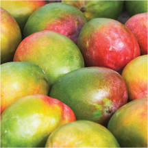 Mangoes product image.