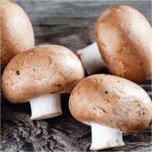 Crimini Mushrooms product image.