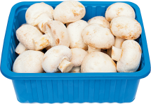 Organic Mushrooms product image.