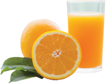 Citrus product image.