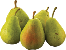 D'Anjou product image.
