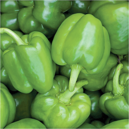 Bell product image.