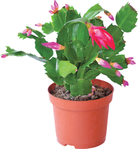 We have product image.