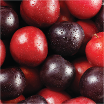 Plums product image.