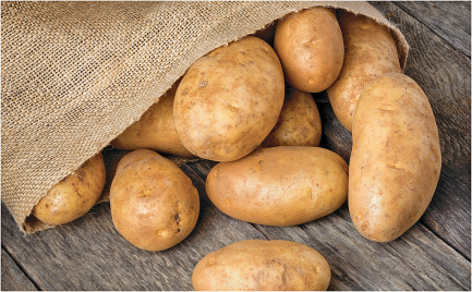 Russet Potatoes product image.